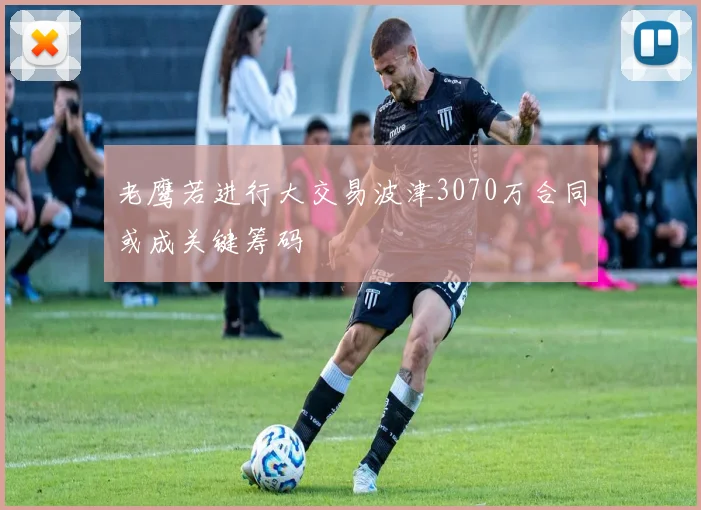 老鹰若进行大交易波津3070万合同或成关键筹码