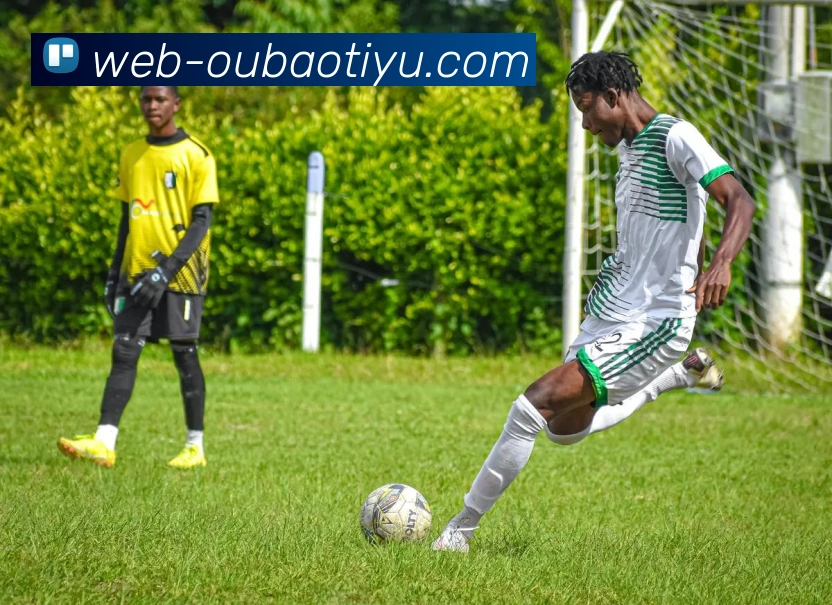 多媒体互动体验